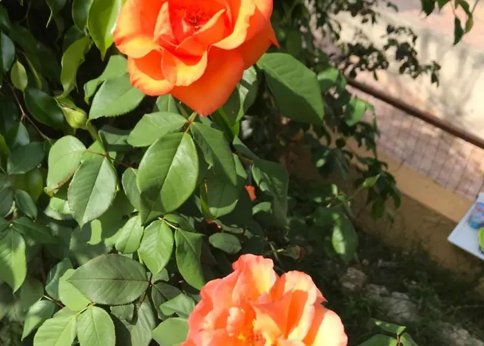 Nocleg ze śniadaniem Saturno Tropea