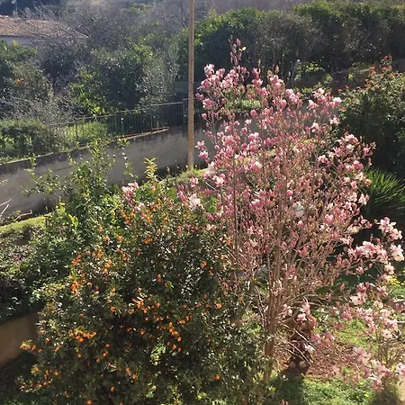 B&B Saturno 트로페아